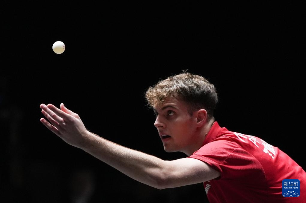 职业轨迹 职业轨迹